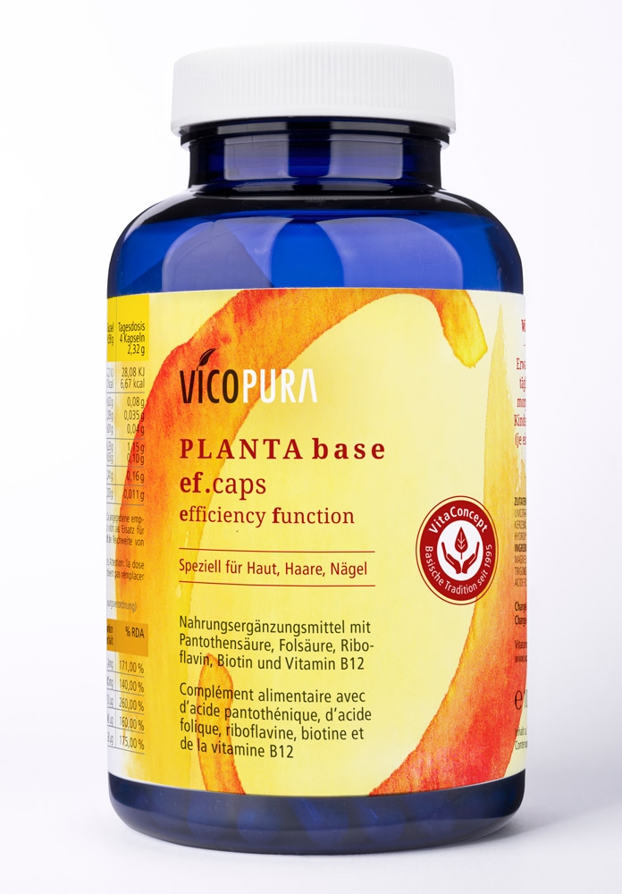 PLANTA BASE efCAPS, 100g/170 Stk. 