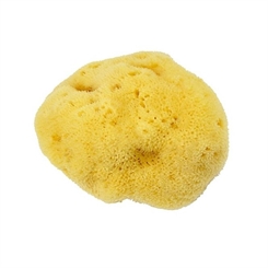 Feinporiger weicher Silk Naturschwamm Badeschwamm Kosmetex Hygiene- und Aquarellschwamm 8 cm