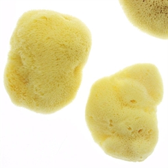 Babyschwamm Silk Badeschwamm Kosmetex, Beste Naturschwamm Levantiner Qualität aus dem Mittelmeer 10 cm