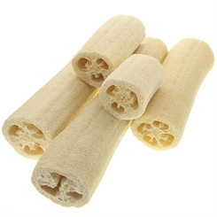 Luffa Gurke Schwamm, Kosmetex Luffagurke Luffaschwamm, der Naturfaser Schwamm 19 cm