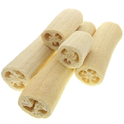 Luffa Gurke Schwamm, Kosmetex Luffagurke Luffaschwamm, der Naturfaser Schwamm 